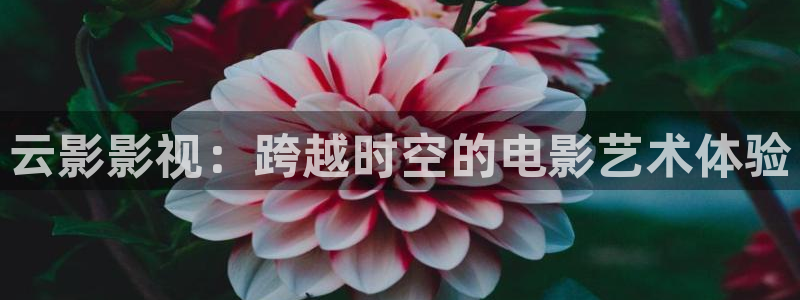 yy4480免费高清影院