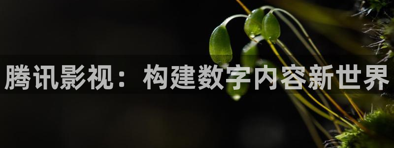 yy4480新视觉影院